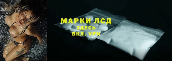 прущий лед Алзамай