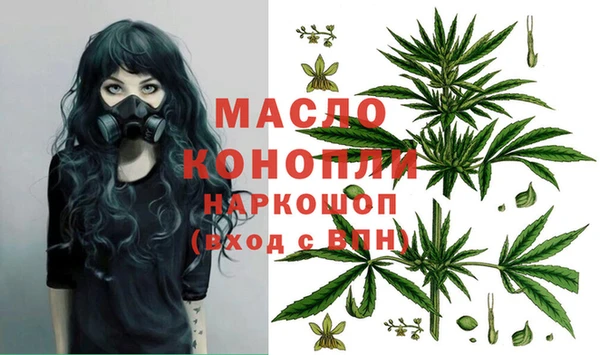 прущий лед Алзамай