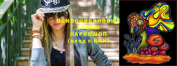 твердый Алексин